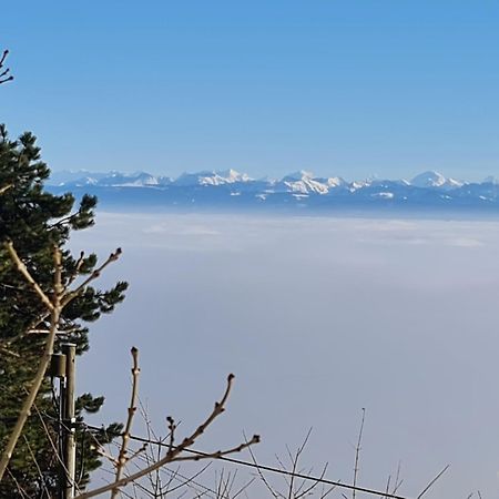 Willa Mont Blanc Chalet Grandevent Zewnętrze zdjęcie