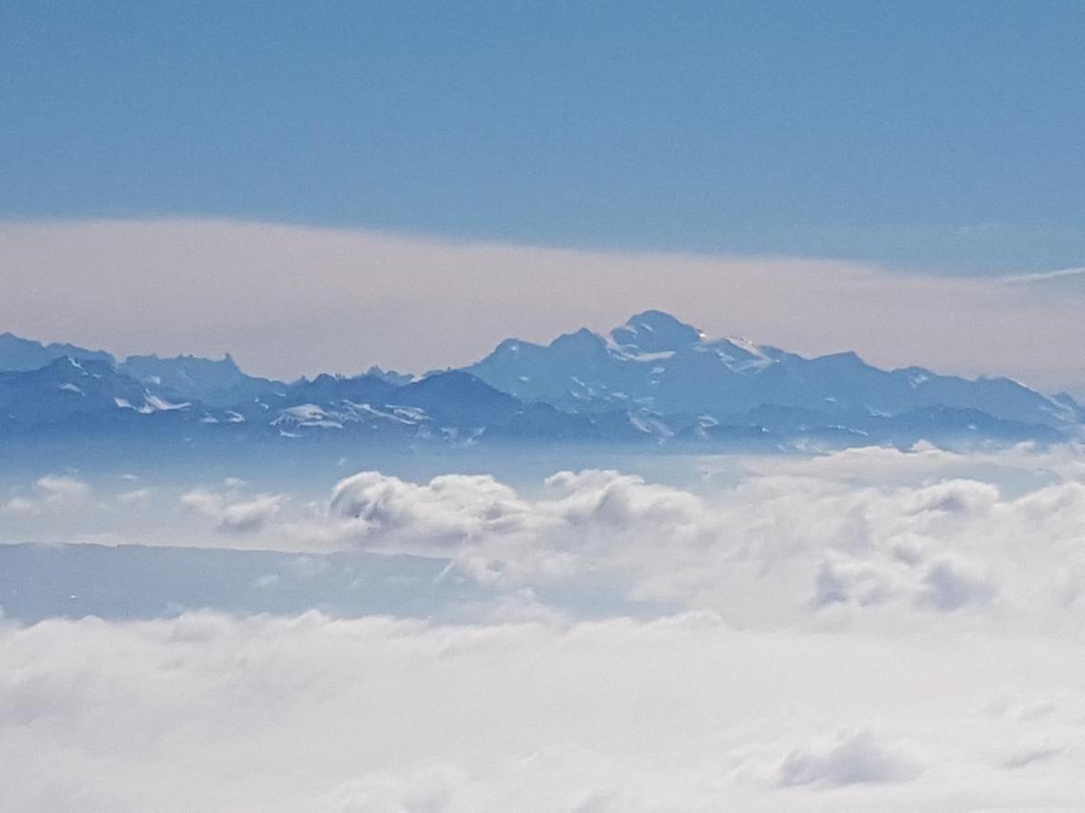 Willa Mont Blanc Chalet Grandevent Zewnętrze zdjęcie